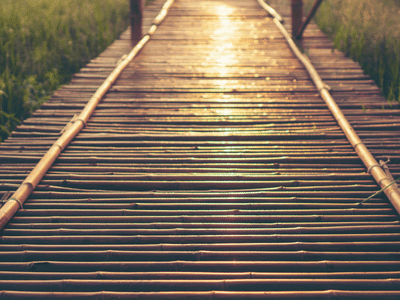 Bamboo Bridge